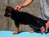 /album/a7-weeks/stenka-b-vrh-074-jpg/